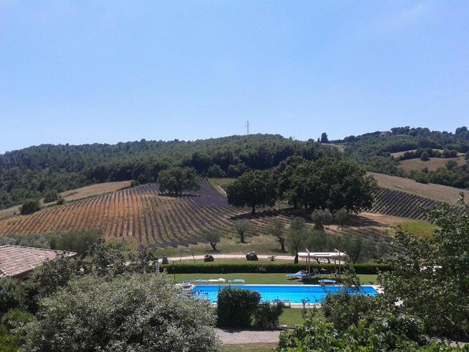 Il Poggio Di Teo Villa Manciano Buitenkant foto