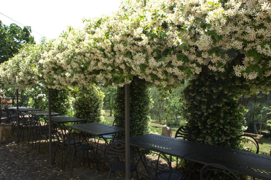Il Poggio Di Teo Villa Manciano Buitenkant foto